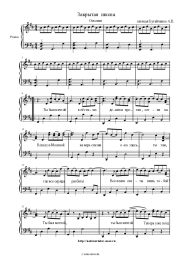 undefined Marakesh - Осколки