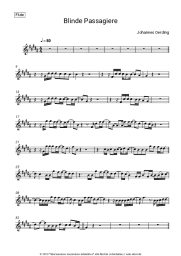 undefined Johannes Oerding - Blinde Passagiere