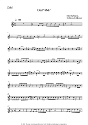 Noten, Akkorde Ikke Huftgold, Schürze, DJ Robin - Bumsbar