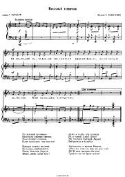 undefined T. Popatenko - Весёлый гопачок