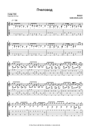 Noten, Akkorde RASA - Пчеловод